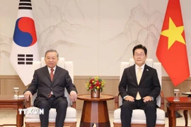 Tổng Bí thư Tô Lâm hội đàm hẹp với Tổng thống Hàn Quốc Lee Jae Myung. (Ảnh: Thống Nhất/TTXVN)