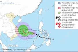 Đường đi của bão số 15 năm 2025: Dự báo từ 10h ngày 26/11 đến 10h ngày 1/12