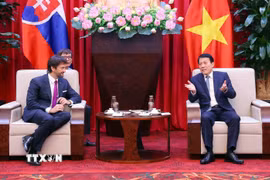 Đại tướng Lương Tam Quang, Bộ trưởng Bộ Công an tiếp ngài Robert Kalinak, Phó Thủ tướng, Bộ trưởng Bộ Quốc phòng Slovakia. (Ảnh: Phạm Kiên/TTXVN)