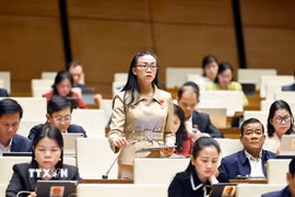 Đại biểu Quốc hội tỉnh Lâm Đồng Trịnh Thị Tú Anh phát biểu. (Ảnh: Doãn Tấn/TTXVN)