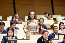 Đại biểu Quốc hội tỉnh Lâm Đồng Trịnh Thị Tú Anh phát biểu. (Ảnh: Doãn Tấn/TTXVN)