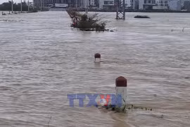 Mưa lũ gây chia cắt, cô lập hàng trăm hộ dân tại Gia Lai 