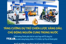 Tăng cường dự trữ chiến lược xăng dầu, chủ động nguồn cung trong nước 