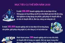 Nâng cao mức độ sẵn sàng, năng lực chuyển đổi số của doanh nghiệp nhỏ 