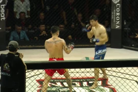 Đội tuyển MMA Việt Nam tham dự SEA Games 33 với 6 võ sỹ 