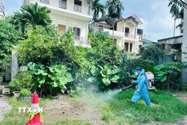 Nhân viên y tế phun hóa chất diệt muỗi tại phường Hải Dương. (Ảnh: TTXVN phát)