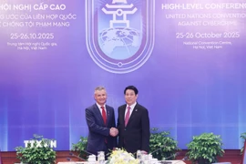 Chủ tịch nước Lương Cường tiếp ngài Matt Thistlethwaite, đồng Bộ trưởng về Ngoại giao và Thương mại Australia. (Ảnh: Lâm Khánh/TTXVN)