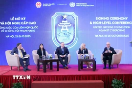 Các đại biểu quốc tế tham dự tọa đàm Hợp tác toàn cầu phòng, chống lừa đảo trực tuyến. (Ảnh: TTXVN)