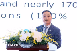Thứ trưởng Bộ Công an Phạm Thế Tùng phát biểu tại Toạ đàm Hợp tác toàn cầu phòng, chống lừa đảo trực tuyến. (Ảnh: TTXVN)