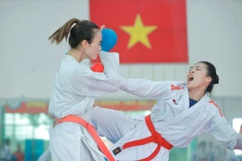 Đội tuyển Karate nỗ lực tập luyện, chuẩn bị cho SEA Games 33. (Nguồn: TTXVN)