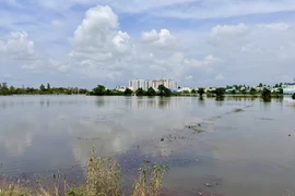 Đồng ruộng cặp tuyến tránh Long Xuyên (phường Long Xuyên, tỉnh An Giang) ngập sâu trong nước do triều cường dâng cao. (Ảnh: Thanh Sang/TTXVN)