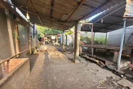 Một cơ sở chăn nuôi bò và dê tại ấp Nam, xã Hòa Long, thành phố Bà Rịa đã chấm dứt hoạt động chăn nuôi do nằm ngoài vùng quy hoạch. (Ảnh: Hoàng Nhị/TTXVN)