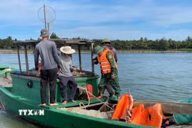 Tàu đánh cá bị xử lý vi phạm hành chính với hành vi tàng trữ dụng cụ kích điện. (Ảnh: TTXVN phát)