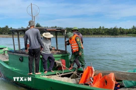 Tàu đánh cá bị xử lý vi phạm hành chính với hành vi tàng trữ dụng cụ kích điện. (Ảnh: TTXVN phát)