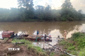 Tang vật vụ việc. (Ảnh: TTXVN phát)