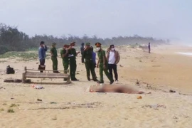 Thi thể 2 ngư dân tại Quảng Trị trên tàu cá mất tích được phát hiện ở Quảng Ngãi. (Nguồn: Lao Động)