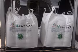 Lô gạo Japonica được chứng nhận "Gạo Việt xanh phát thải thấp" xuất khẩu vào thị trường Nhật Bản. (Ảnh: Thu Hiền/TTXVN)