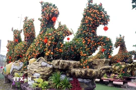 Tác phẩm "Mã đáo thành công" với tạo hình 8 chú ngựa đang phi nước đại của nhà vườn Hưng Tâm ở xã Mễ Sở (Hưng Yên) nặng 15 tấn, dài 8,6m, rộng 2,2m, cao 2,6m. (Ảnh: Nguyễn Công Hải/TTXVN)