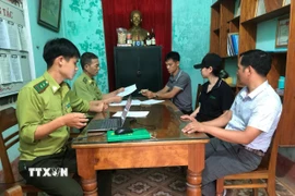 UBND xã Đakrông phối hợp với Trạm Kiểm Lâm Đakrông đã tiến hành bàn giao cá thể rái cá vuốt nhỏ cho Vườn Quốc gia Cúc phương và Trung tâm Bảo tồn động vật hoang dã tại Việt Nam. (Ảnh: TTXVN phát)