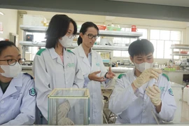 Tiến sỹ Nguyễn Hồ Thùy Linh hướng dẫn sinh viên nghiên cứu trong phòng thí nghiệm. (Ảnh: Thu Hoài/TTXVN)