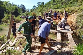 Cán bộ, chiến sỹ Đồn Biên phòng Tri Lễ (Bộ đội Biên phòng Nghệ An) phối hợp với chính quyền địa phương và người dân bản Huồi Mới (xã Tri Lễ, huyện Quế Phong) làm lại cầu dân sinh sau lũ. (Ảnh: TTXVN)