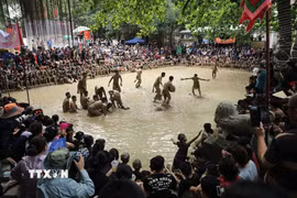 Toàn cảnh trận đấu. (Ảnh: Danh Lam/TTXVN)