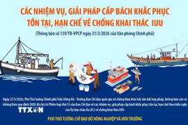 Giải pháp cấp bách khắc phục tồn tại, hạn chế về chống khai thác IUU 