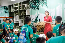 Học sinh trải nghiệm khám phá đa dạng sinh học tại Bảo tàng Thiên nhiên duyên hải miền Trung (thành phố Huế). (Ảnh: Mai Trang/TTXVN)