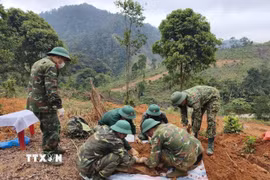 Ảnh minh họa. (Nguồn: TTXVN)