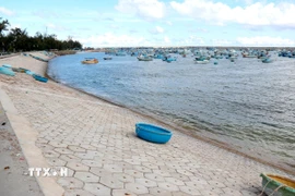 Tàu cá trong Khu neo đậu tránh trú bão của đặc khu Phú Quý. (Ảnh: Nguyễn Thanh/TTXVN)