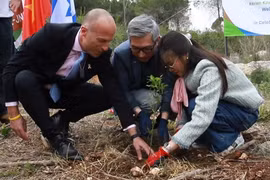 Đại sứ quán Việt Nam tại Israel đã tổ chức trồng cây hữu nghị ở khu rừng Ben Shemen. (Nguồn: TTXVN)