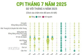 Chỉ số giá tiêu dùng tháng 7 năm 2025