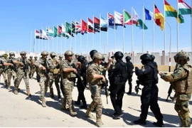 Cuộc tập trận dự kiến sẽ kéo dài đến hết ngày 10/9, với sự tham gia của 44 quốc gia. (Nguồn: EgyptToday)