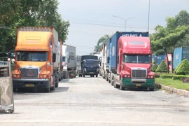 Hàng loạt xe container dừng đỗ kín hai bên đường, gây cản trở cho các phương tiện ra vào cửa khẩu. (Ảnh: Bùi Giang/TTXVN)