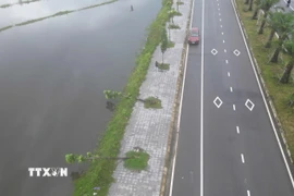 Hàng trăm cây xanh đổ ngã, bật gốc trên tuyến đường Phú Mỹ-Thuận An. (Ảnh: Mai Trang/TTXVN)