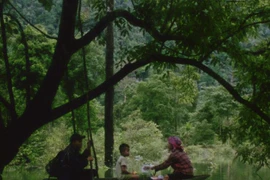 Tác phẩm theo chân nhân vật Hậu, một phụ nữ dân tộc Rục, khắc họa mối quan hệ của bà với thiên nhiên