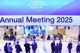Ảnh minh họa. (Nguồn: WEF)