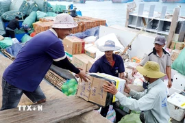 Hàng hóa, nhu yếu phẩm được tập kết lên tàu vận tải để chở ra đặc khu Lý Sơn. (Ảnh: Lê Phước Ngọc/TTXVN)