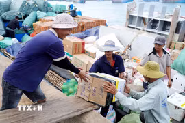 Hàng hóa, nhu yếu phẩm được tập kết lên tàu vận tải để chở ra đặc khu Lý Sơn. (Ảnh: Lê Phước Ngọc/TTXVN)