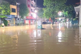 Đường Lương Ngọc Quyến ngập sâu trong nước. (Ảnh: Trần Trang/TTXVN)