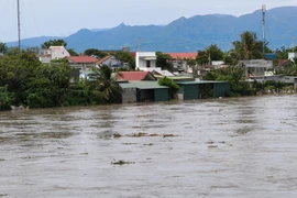 Nước lũ dâng cao tràn qua bờ đê vào nhà người dân sống cạnh khu vực sông Cái Phan Rang (xã Phước Dinh, Khánh Hòa). (Ảnh: Nguyễn Thành/TTXVN)