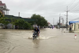Nước lũ tràn qua đường giao thông liên xã nối Thuận Nam với Phước Dinh. (Ảnh: Công Thử/TTXVN)