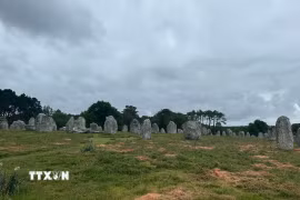 Một phần Rặng đá đứng Carnac. (Ảnh: Đào Dũng/TTXVN)