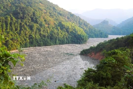 Tình trạng rác, gỗ phủ kín mặt sông Nậm Nơn, lòng hồ Thủy điện Bản Vẽ ảnh hưởng nghiêm trọng đến giao thông đường thủy. (Ảnh: Xuân Tiến/TTXVN)