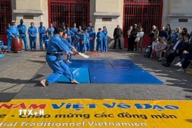 Tiết mục biểu diễn đại đao tại lễ khai trương. (Ảnh: Đào Dũng/TTXVN)