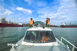 Đồn Biên phòng Cửa khẩu cảng Cửa Lò - Bến Thủy sử dụng phương tiện và lực lượng tìm kiếm nạn nhân mất tích trên biển. (Ảnh: TTXVN phát)