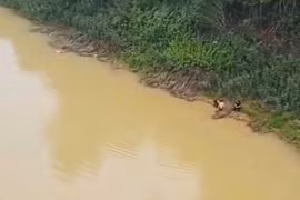 Hai nam sinh đưa nữ sinh vào bờ an toàn. (Ảnh: Người dân cung cấp)