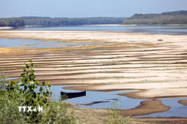 Tại Romania, mực nước sông Danube giảm xuống mức thấp kỷ lục buộc nước này phải bắt đầu dừng có kiểm soát tổ máy số 2 của Nhà máy điện hạt nhân Cernavoda từ ngày 13/8. Tổ máy số 1 đã ngừng hoạt động từ cuối tháng 7. (Ảnh: THX/TTXVN phát)