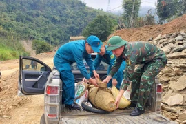 Di dời quả bom mang đi hủy nổ. (Ảnh: TTXVN phát)