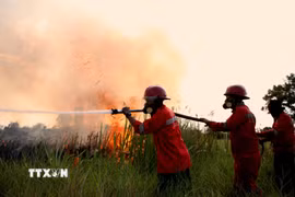 Indonesia nỗ lực khống chế cháy rừng tại Vườn Quốc gia Núi Bromo